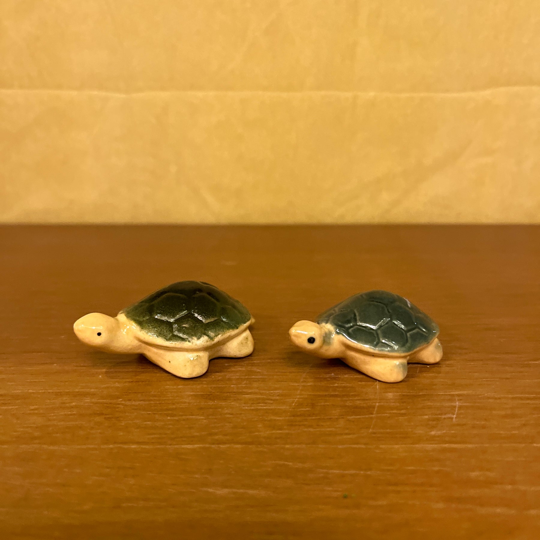 #C18 Turtle (PER UNIT)