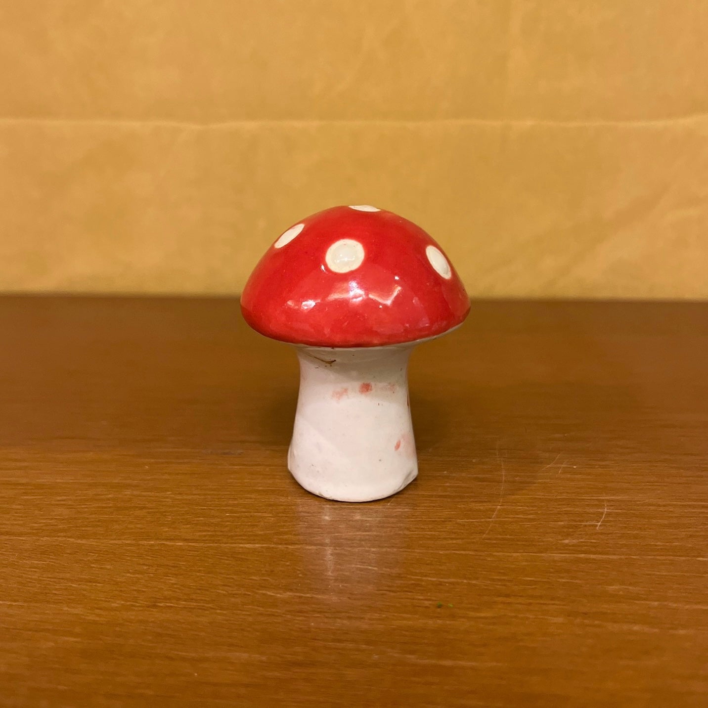 #C19 Mushroom (PER UNIT)
