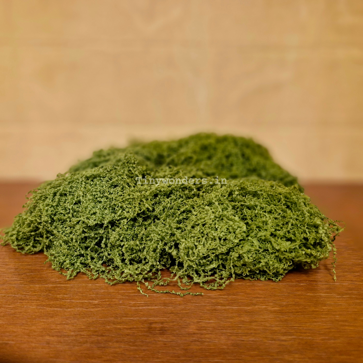 #656 Artificial Moss Grass ( one Pack )