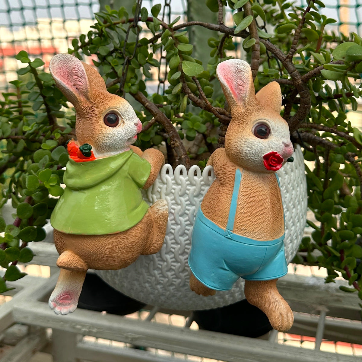 Bunny plant huggers ( pair ) green and blue