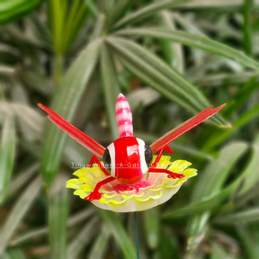 #S53 Bubbly Eyes Dragon Fly ( Set Of 2 ) Random Colour