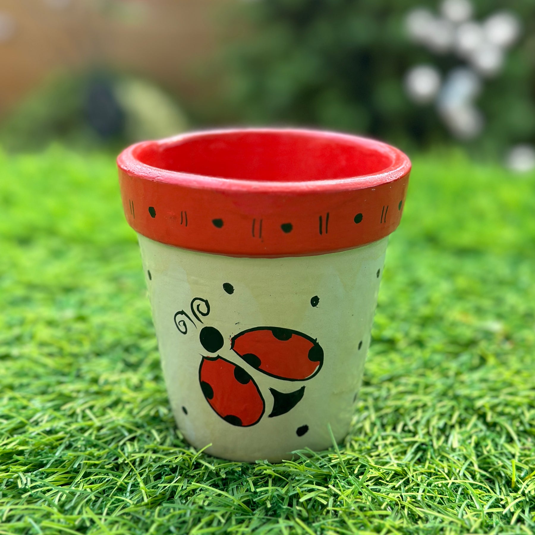 Ladybug Terracota Planters