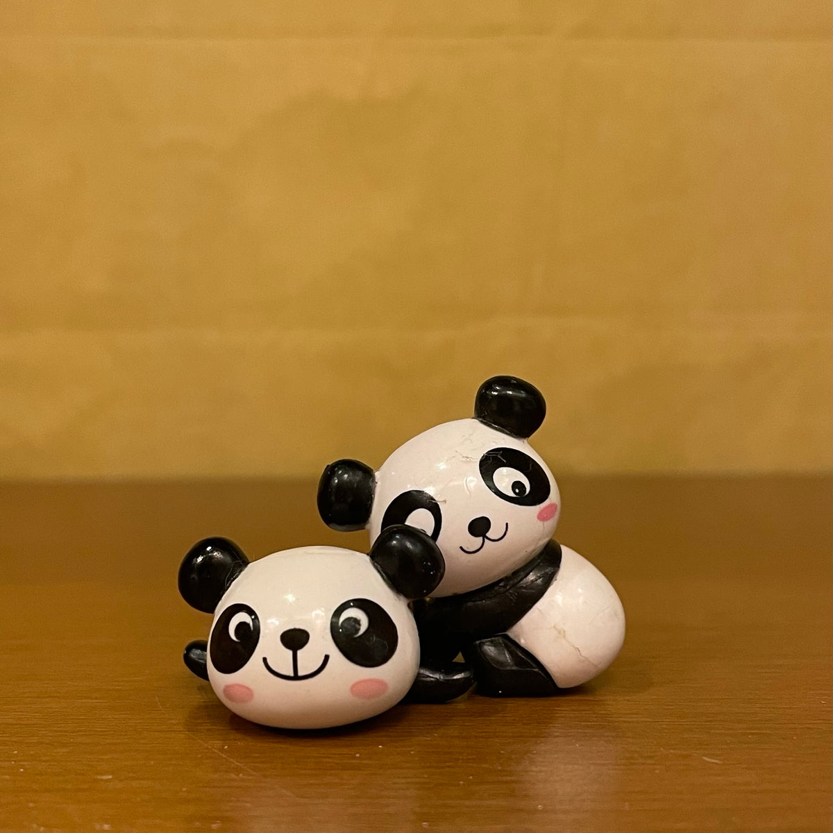 #217 ABCD Panda (PER UNIT)