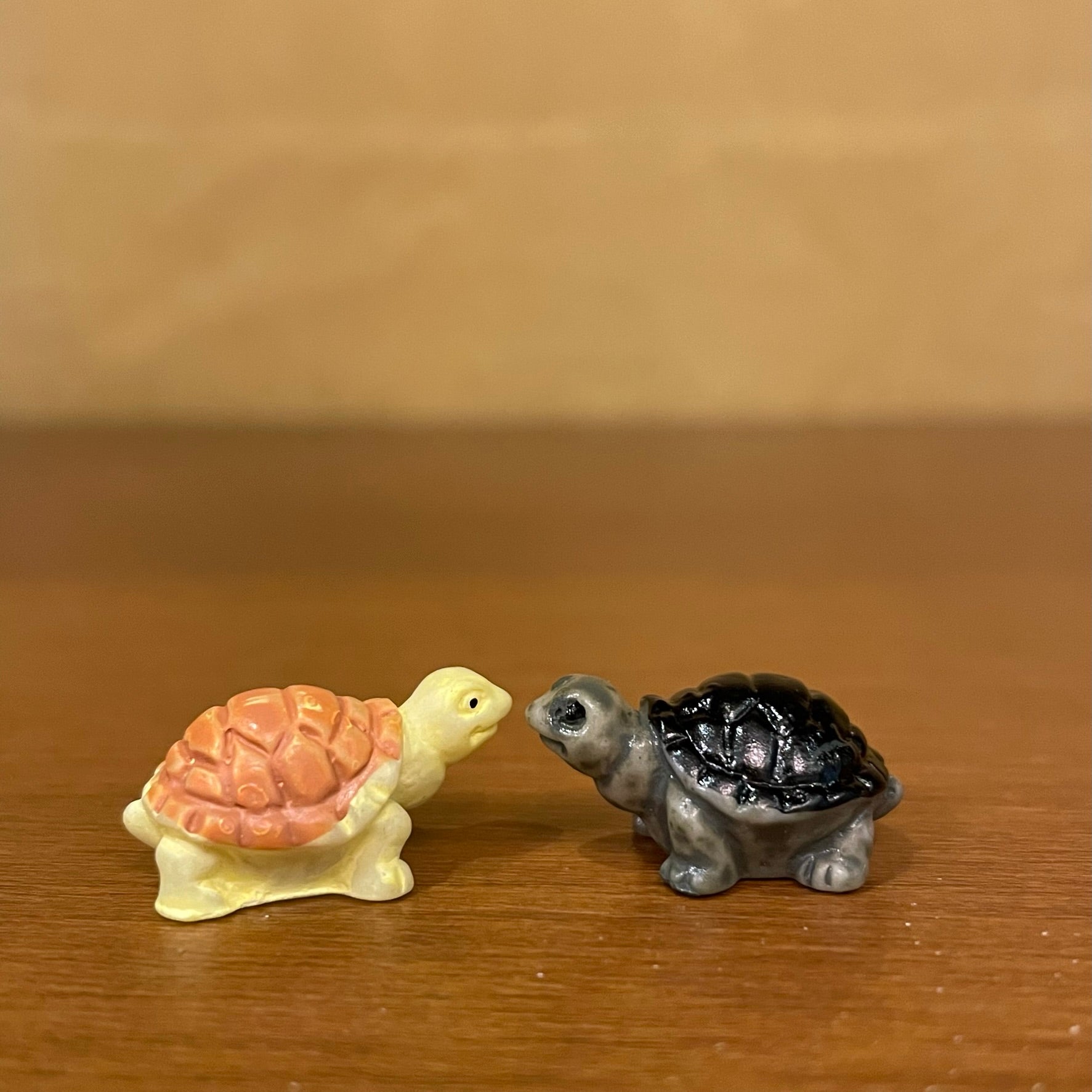 #224 Small Tortoise ( Set Of 2 )