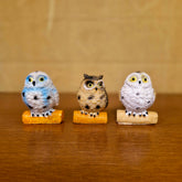 #045 Miniature Owl (PER UNIT) Random Colour