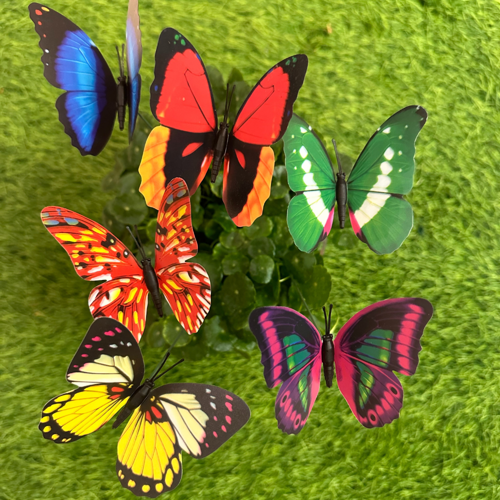 #378 Big Butterfly ( Set Of 5)