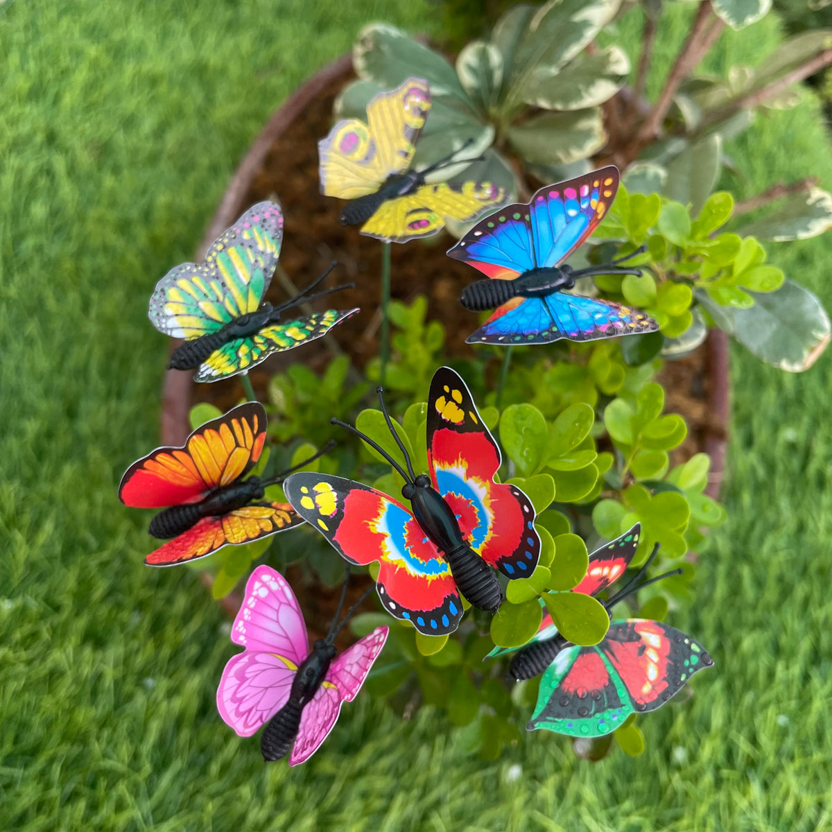 #379 Mini Butterfly ( Set Of 5 )