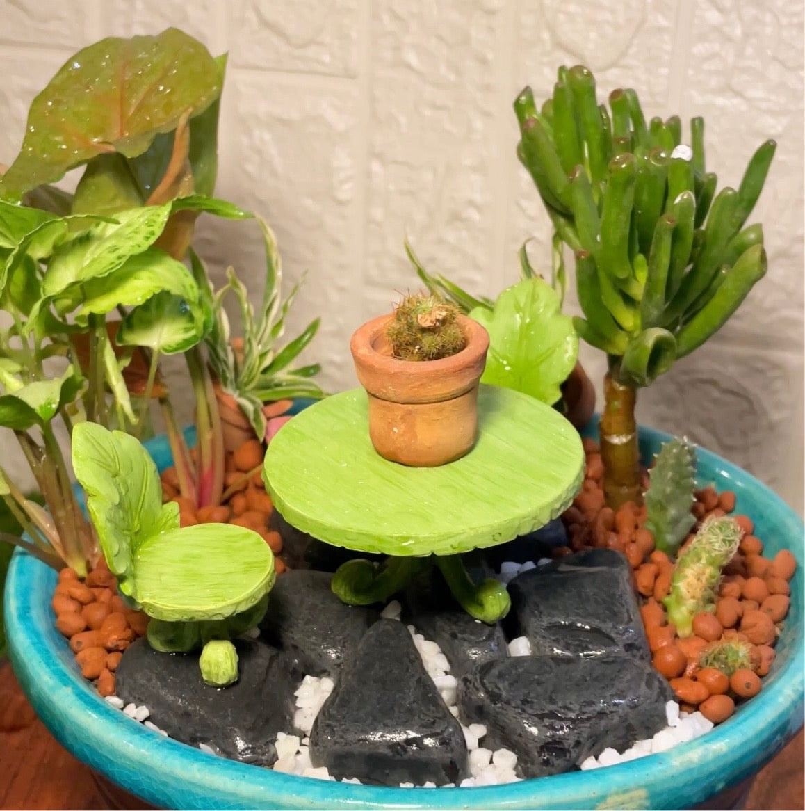 Patio mini garden