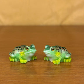 #456 Colourful Toad (Per Unit) Random Colour