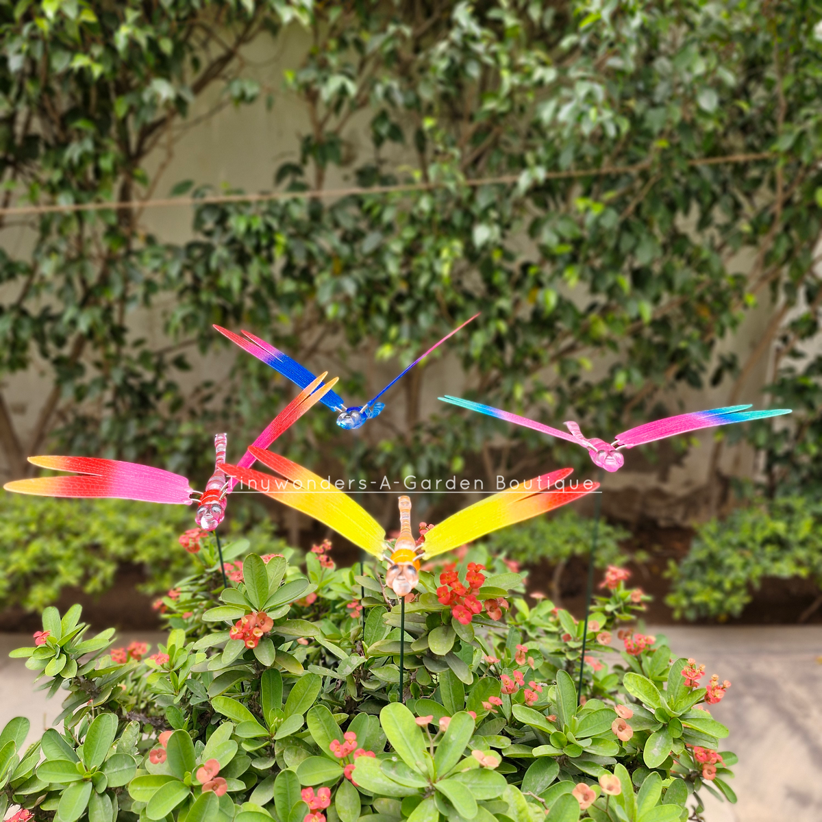 #S49 Colourful  Dragonfly Stick ( Set Of 2 )