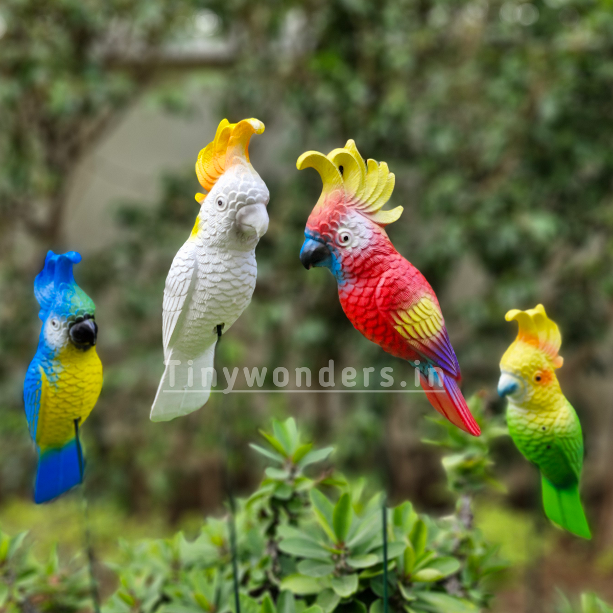 #S66 Macaw Sticks/ Stakes ( Set Of 2 ) Random Colour