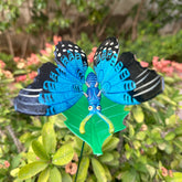 Blue Butterfly