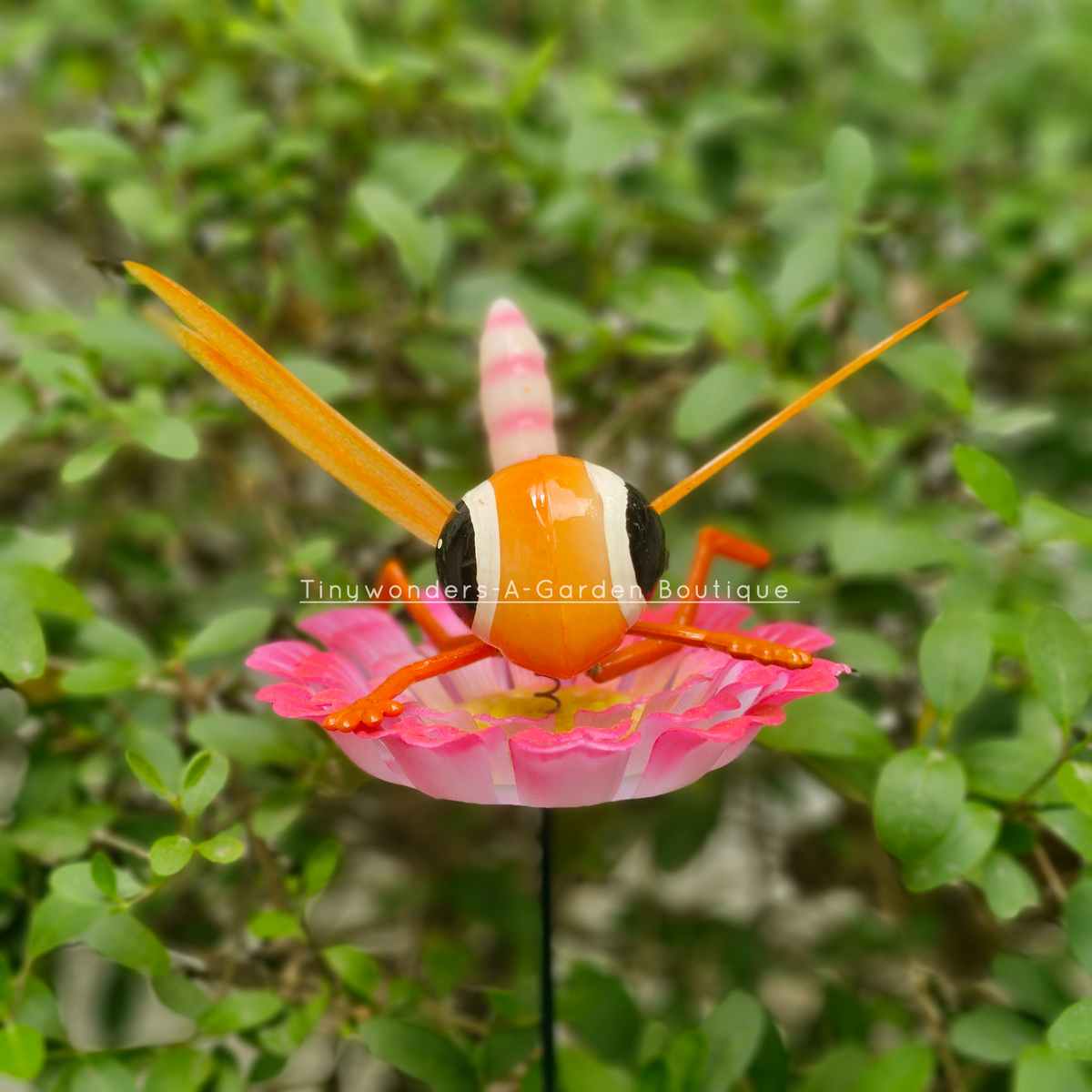 #S53 Bubbly Eyes Dragon Fly ( Set Of 2 ) Random Colour
