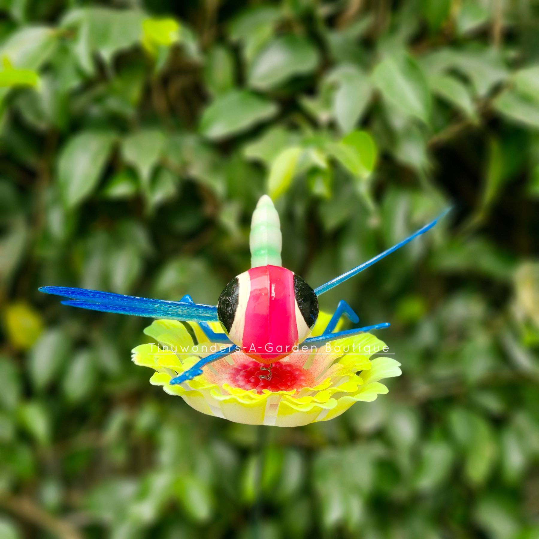 #S53 Bubbly Eyes Dragon Fly ( Set Of 2 ) Random Colour
