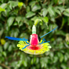 #S53 Bubbly Eyes Dragon Fly ( Set Of 2 ) Random Colour