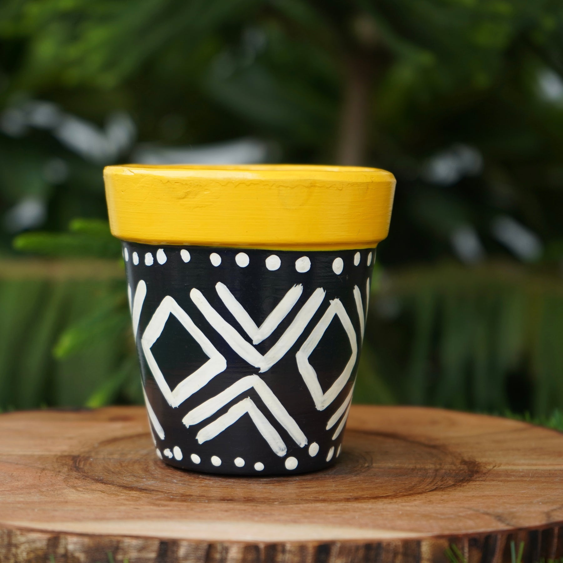 Black and Yellow Terracotta planters