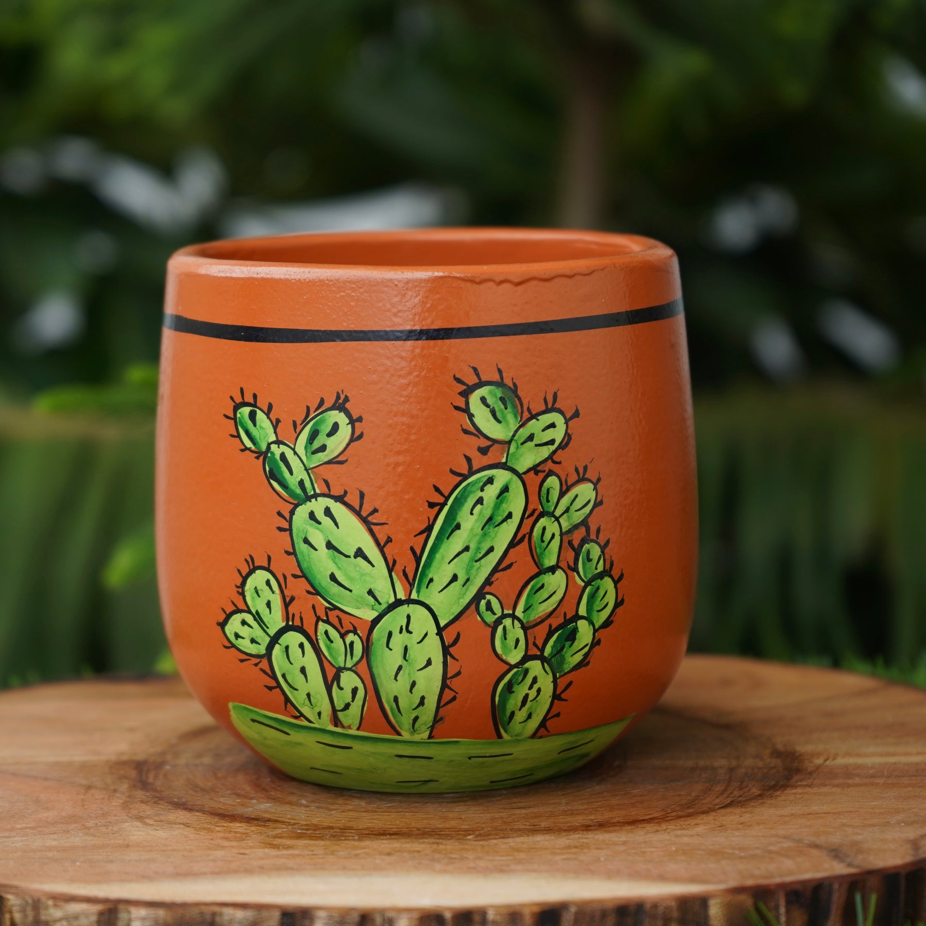 Cactus Terracotta planters