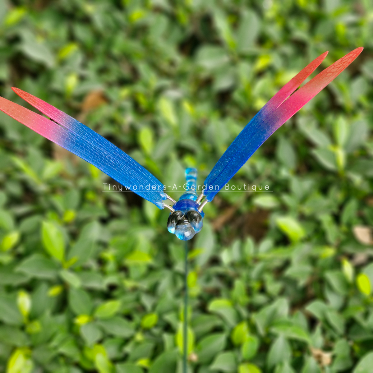 #S49 Colourful  Dragonfly Stick ( Set Of 2 )