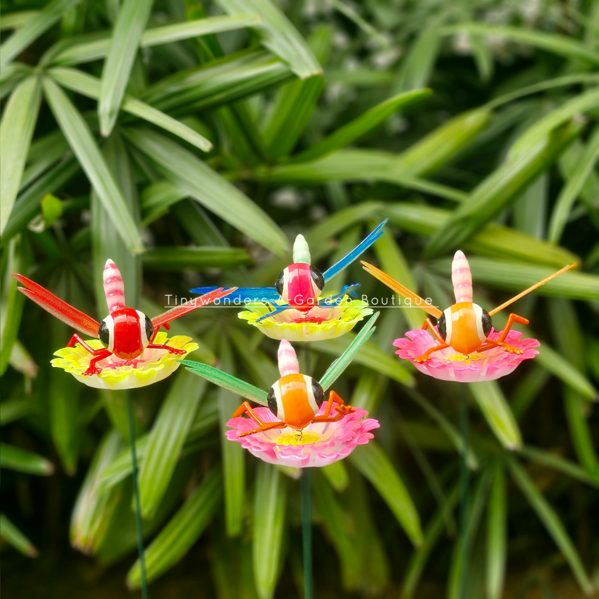 #S53 Bubbly Eyes Dragon Fly ( Set Of 2 ) Random Colour
