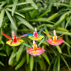 #S53 Bubbly Eyes Dragon Fly ( Set Of 2 ) Random Colour