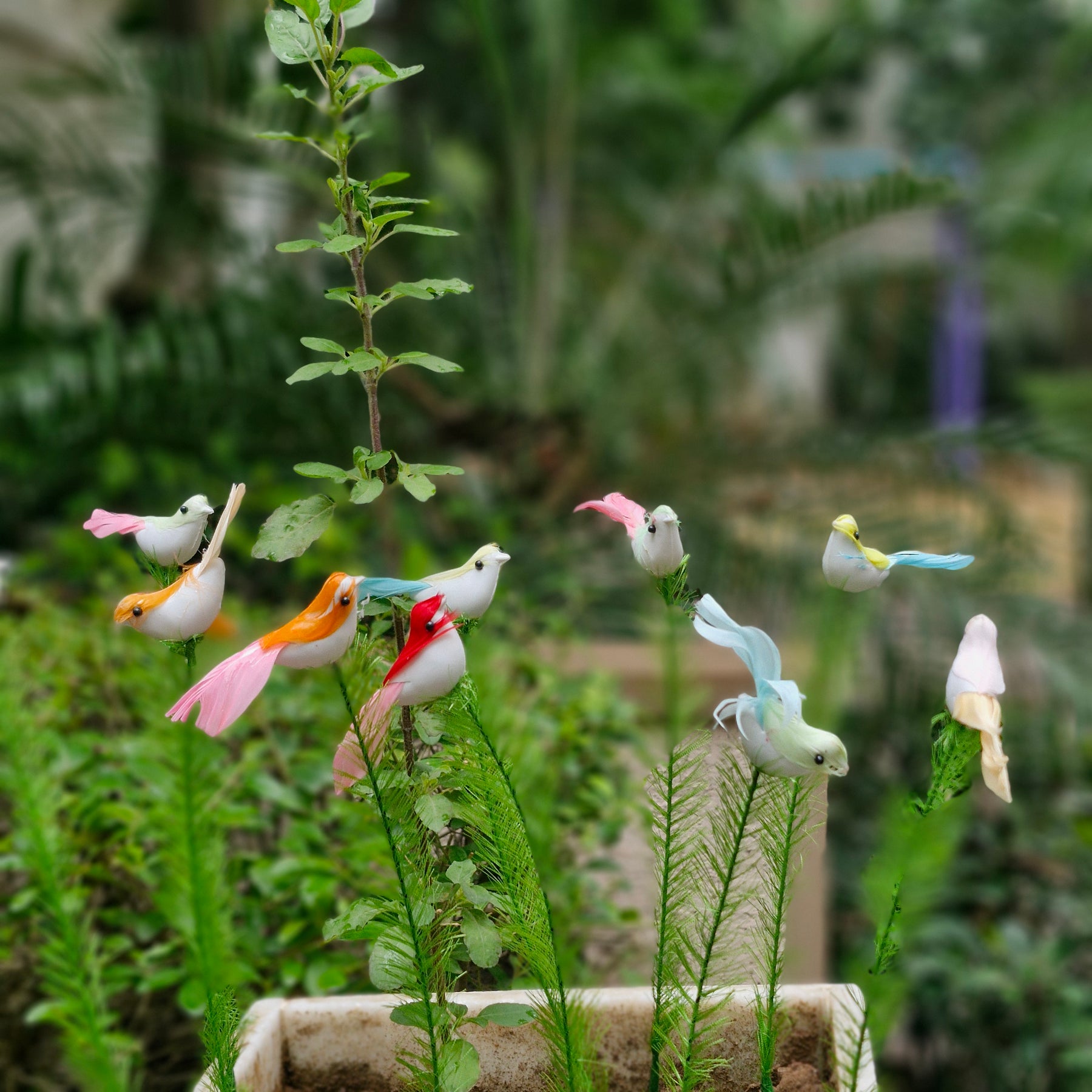 #Bird stick ( set of 10 sticks )