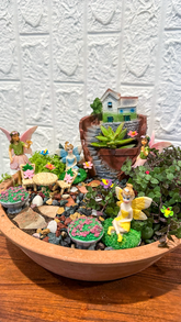 Fairy garden