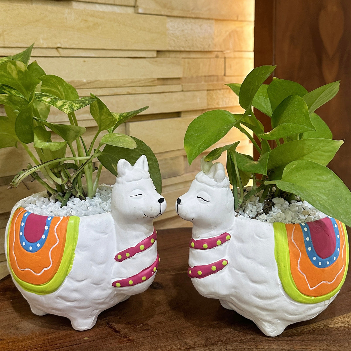 Cute Llama Pot Big ( Per Unit )