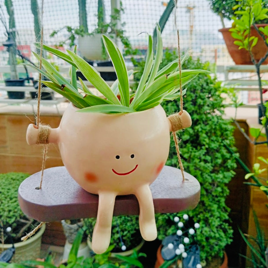 Swing smiley planter