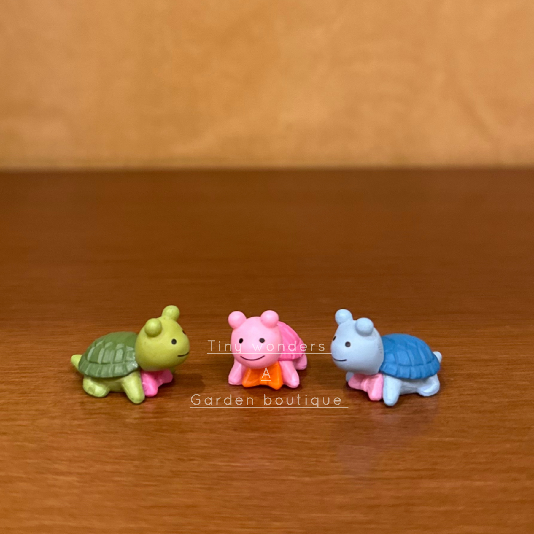 #194 New Turtle ( set of 2 )
