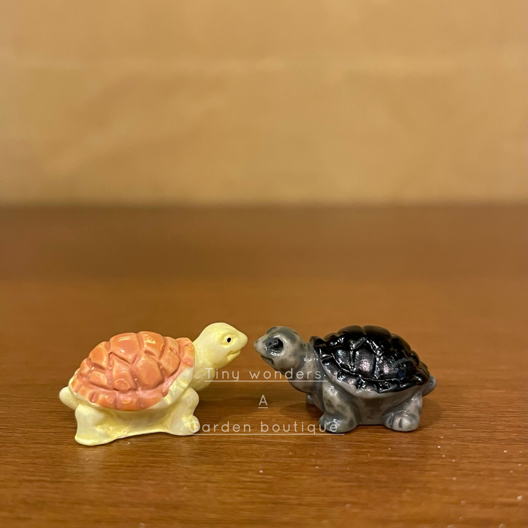 Tortoise Set #224 Miniature Small Tortoise ( Set Of 4 )
