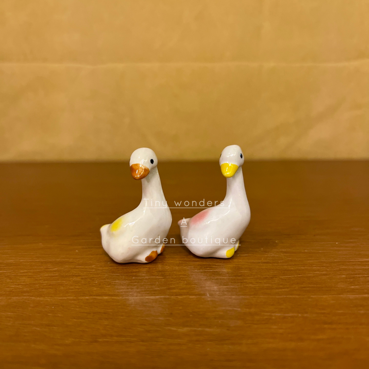 #C06 Duck (SET OF 2)