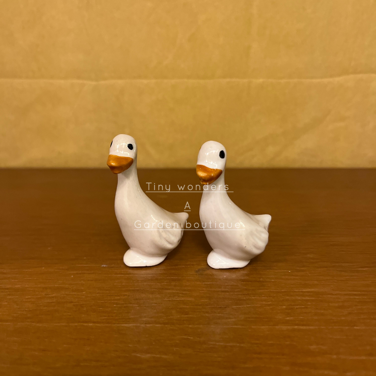 #C09 Duck (SET OF 2)