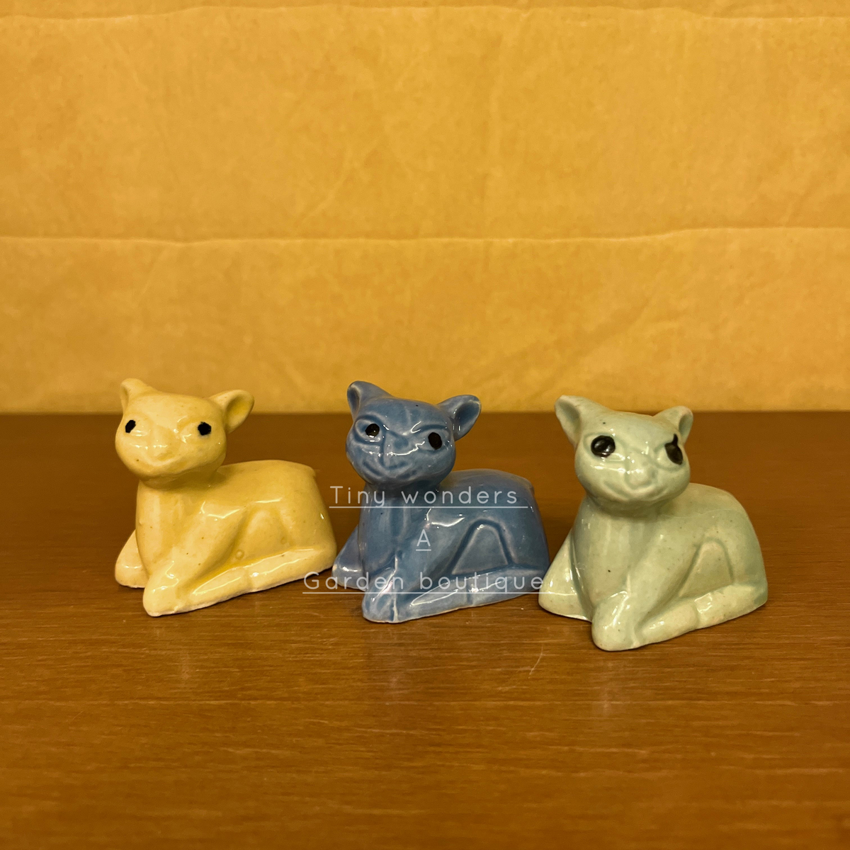 #C10 Cat (PER UNIT) Random Colour