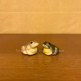 #C14 Toads (SET OF 2)