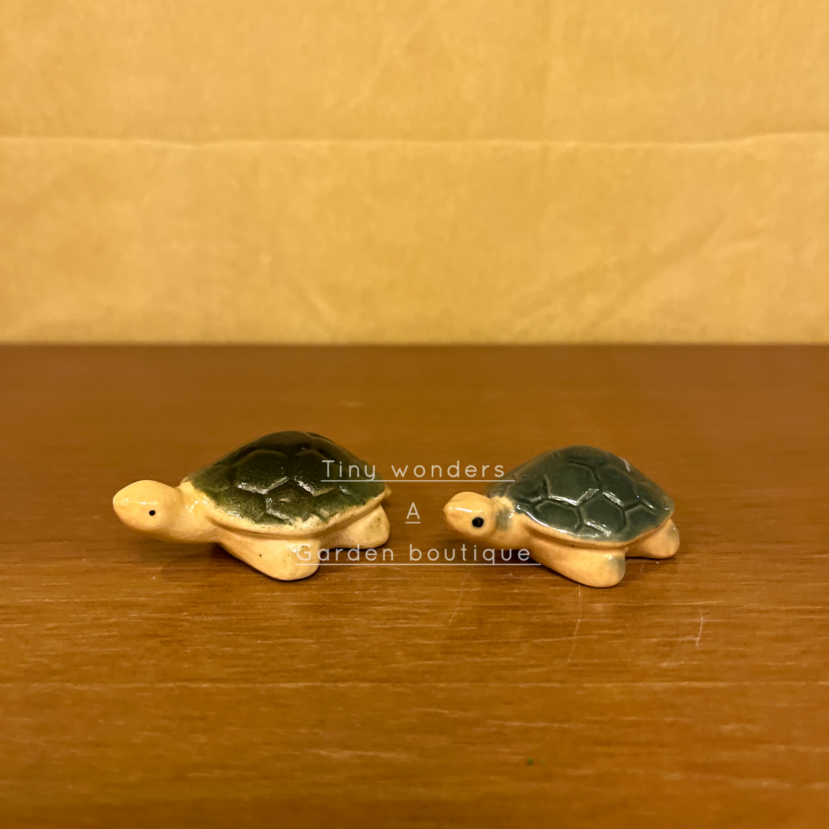 #C18 Turtle big (PER UNIT)