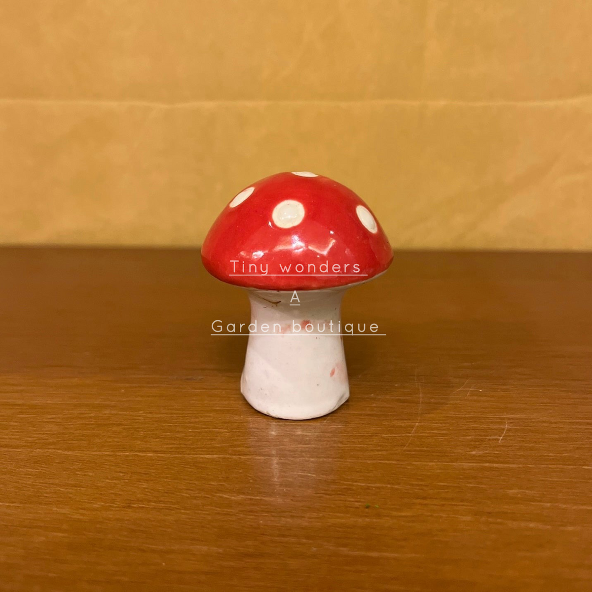 #C19 Mushroom (PER UNIT)