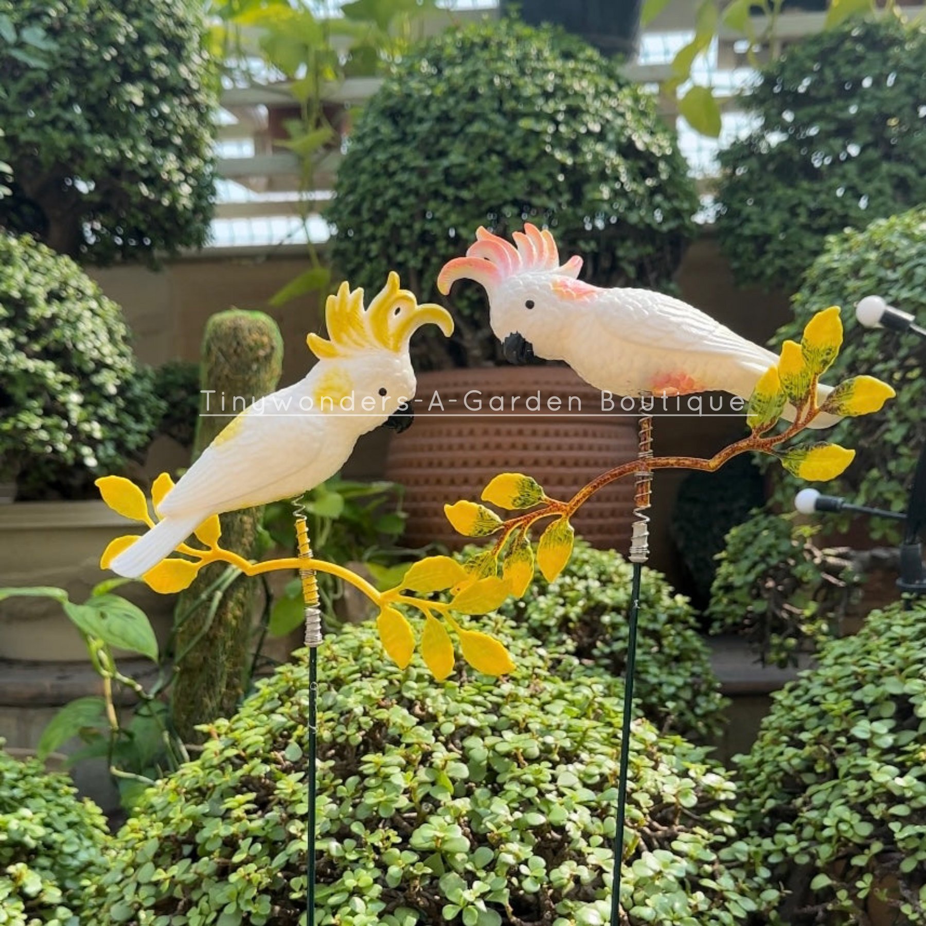 #S02 Beauteous Cockatoo ( Set Of 2)