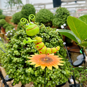#S03 Smiling Caterpillar Stick ( Set of 2) random colour