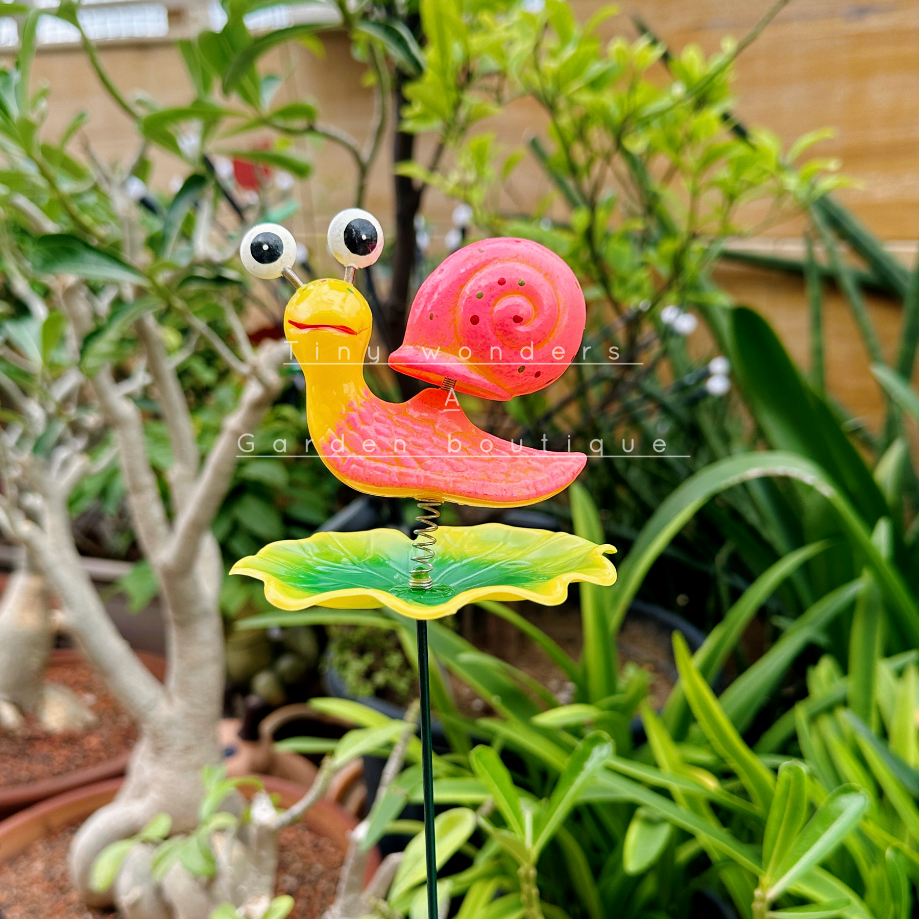 #S05 Charming Eyes Snail Stick ( Set Of 2) random colour