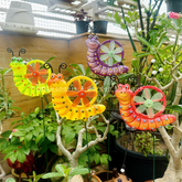 #S08 Snail Stick With Fan ( set of 2) Random Colour