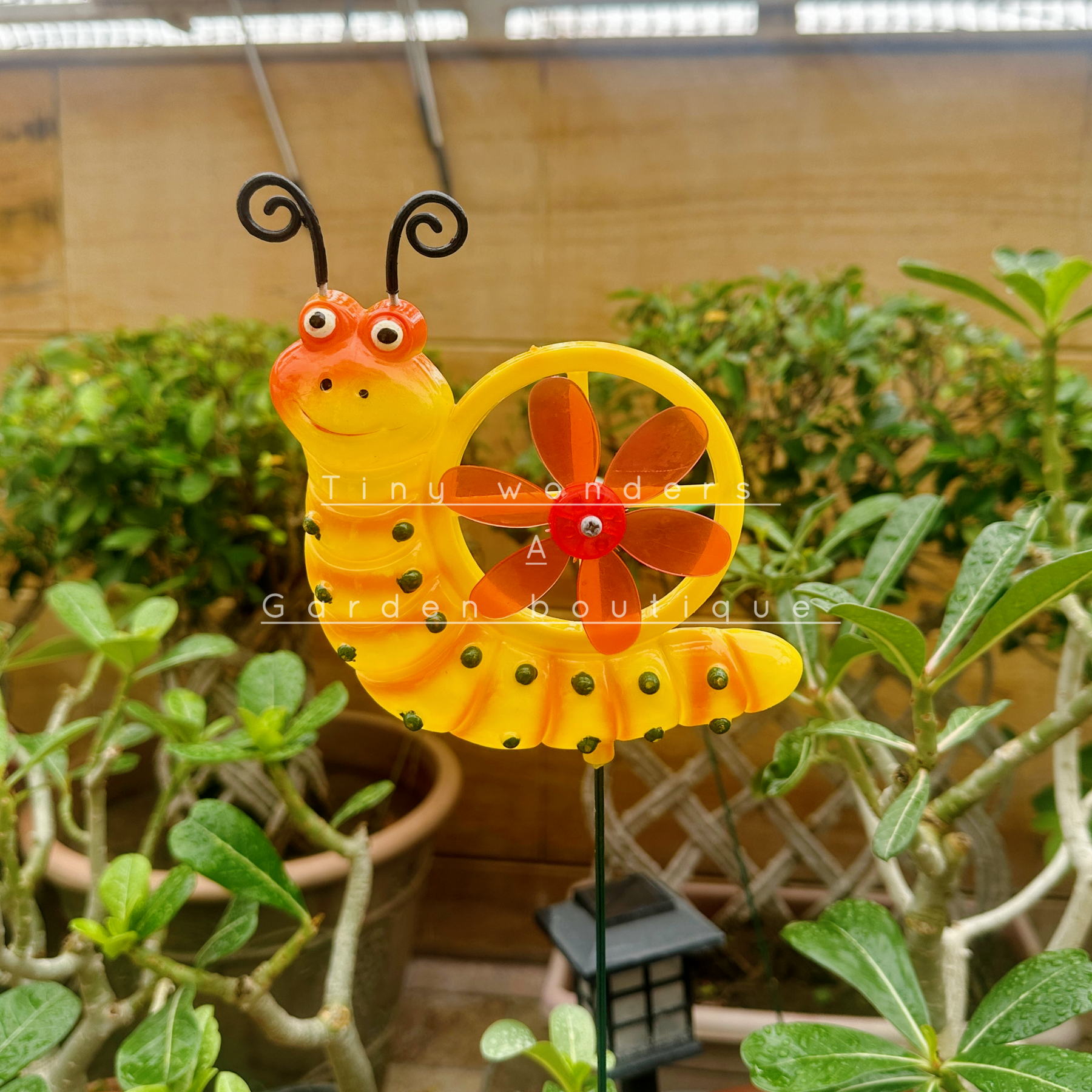 #S08 Snail Stick With Fan ( set of 2) Random Colour