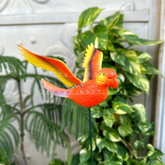 #S36 Colourful Parrots with wings ( set of 2 )