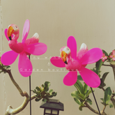 #S15 Flamingo Stick With Fan ( set Of 2 )