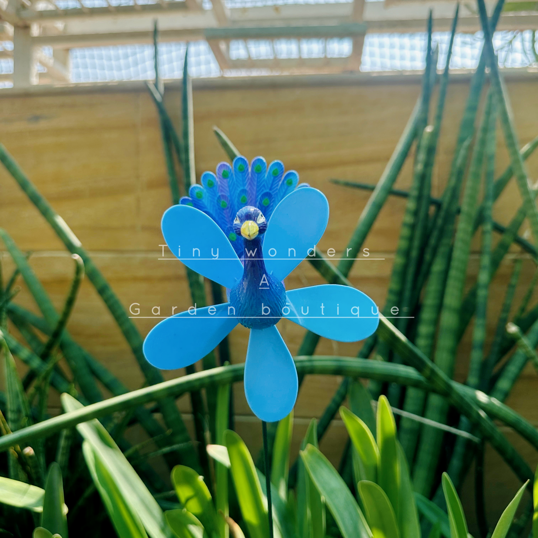 #S14 Peacock With Wings ( set Of 2 ) Random Colour