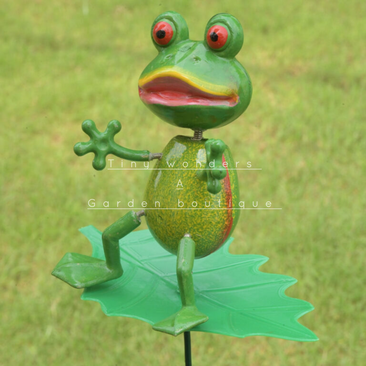 #S17 Frog