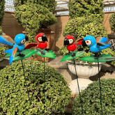 #S18 Parrot (set of 2 )