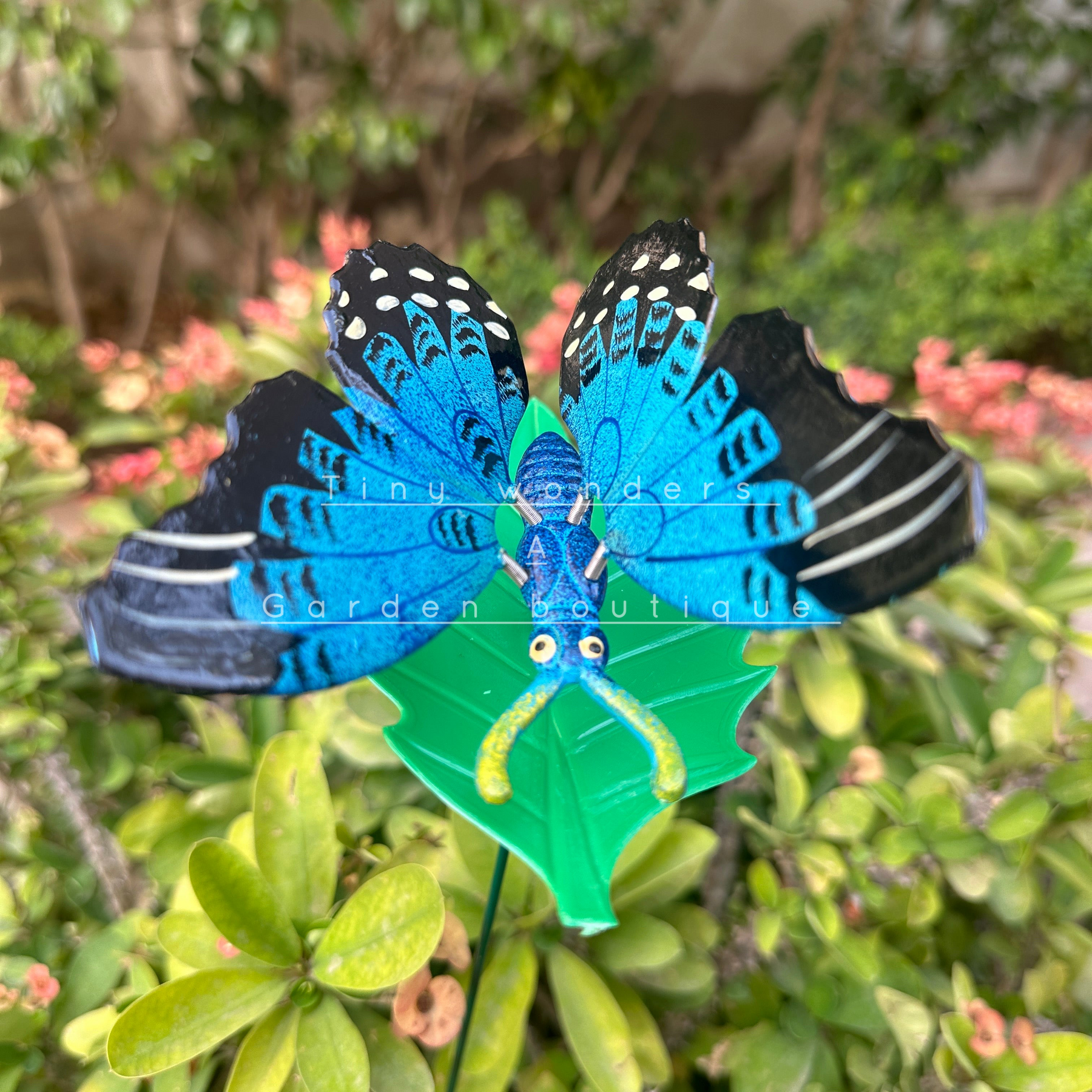 #S24 Blue Butterfly