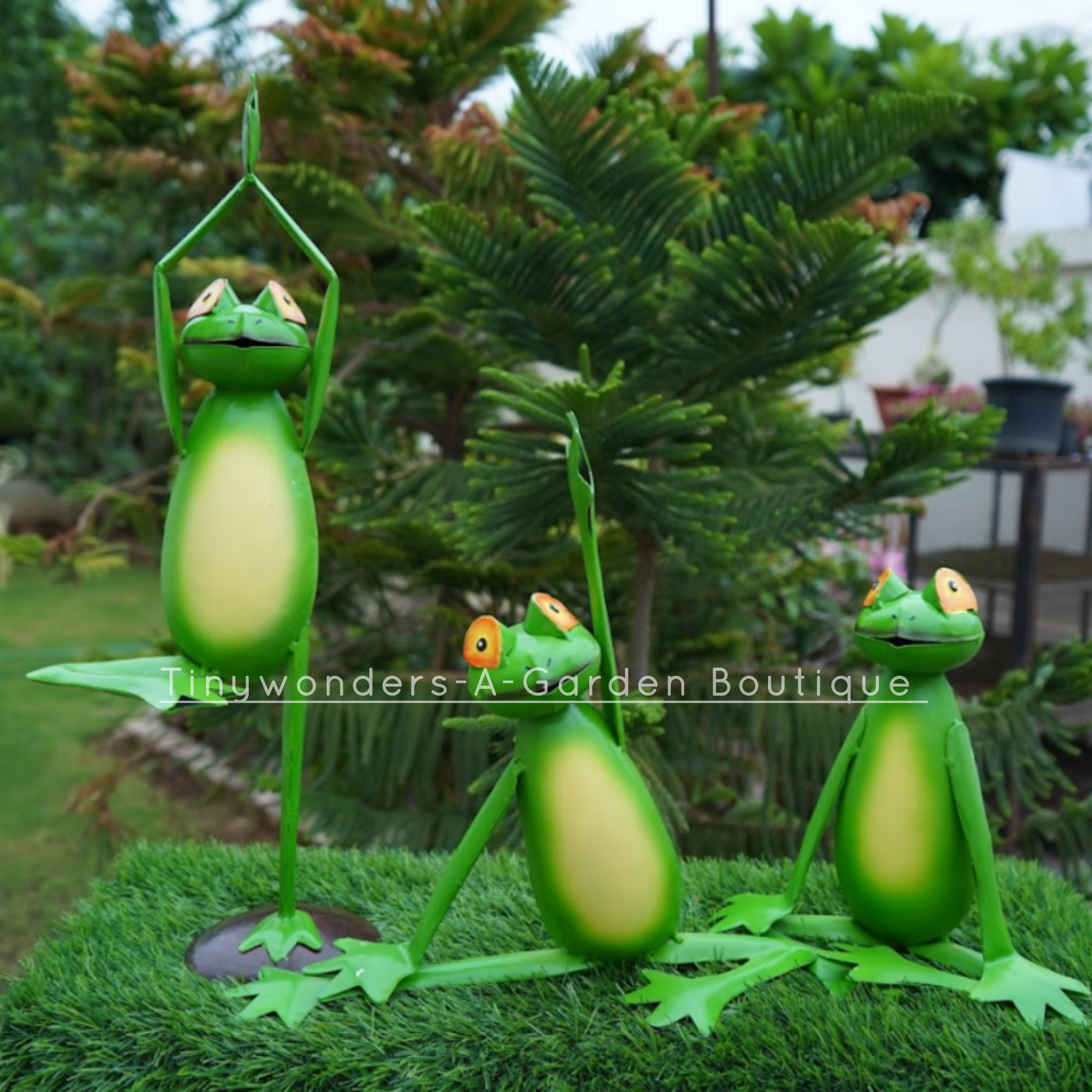 Yoga Frog Set Of 3