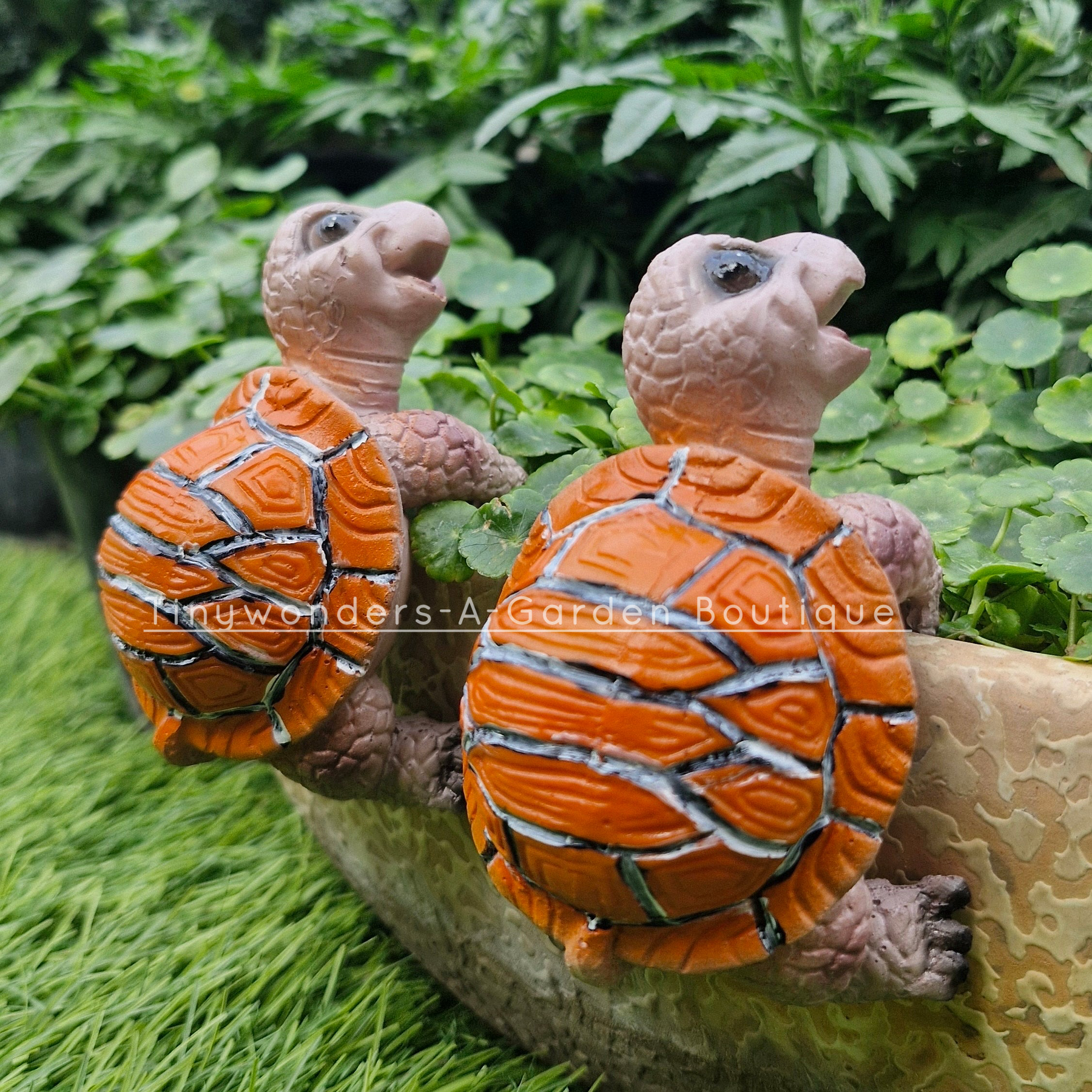 Turtle Plant Huggers (Set Of 2 )