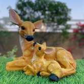 Deer With Baby